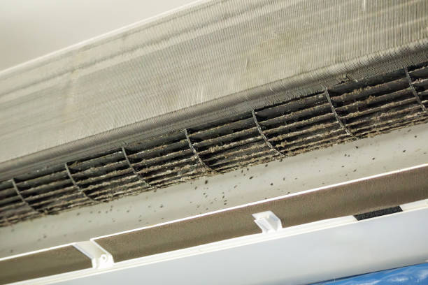 Best Affordable Air Duct Cleaning  in Metairie, LA